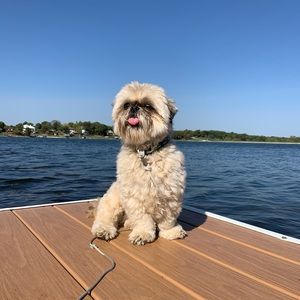 Meet your Posher, Sofie